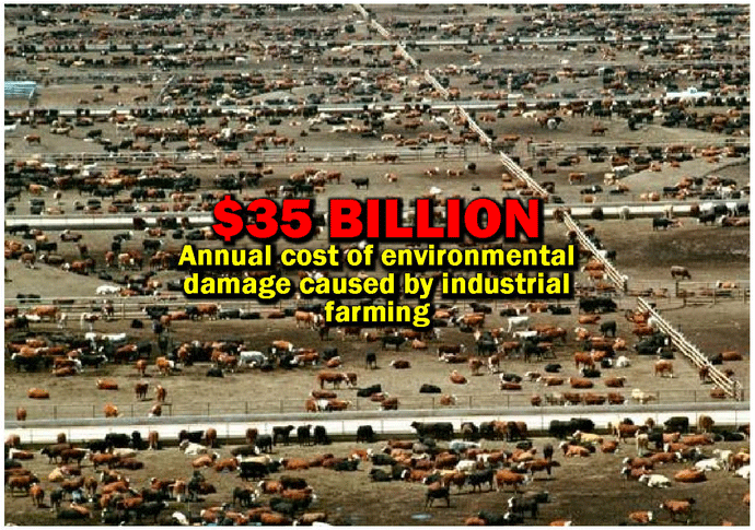 $35 billion annual cost of environmental damage caused by industrial farming.
