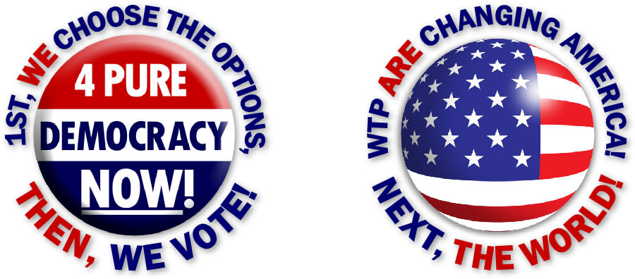 Affimative Action Alliance Voting Buttons