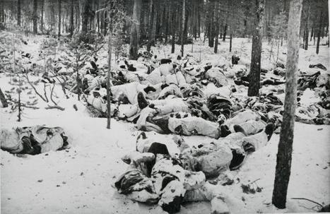 FinnishCasulatiesWinterWar