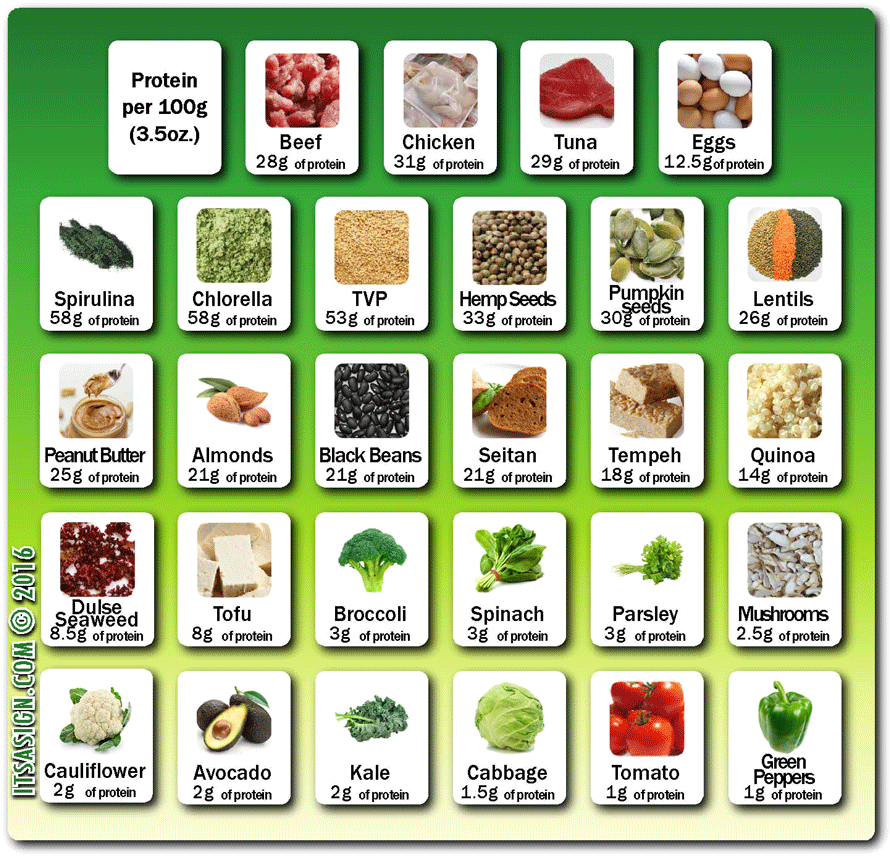 Protein From Plants