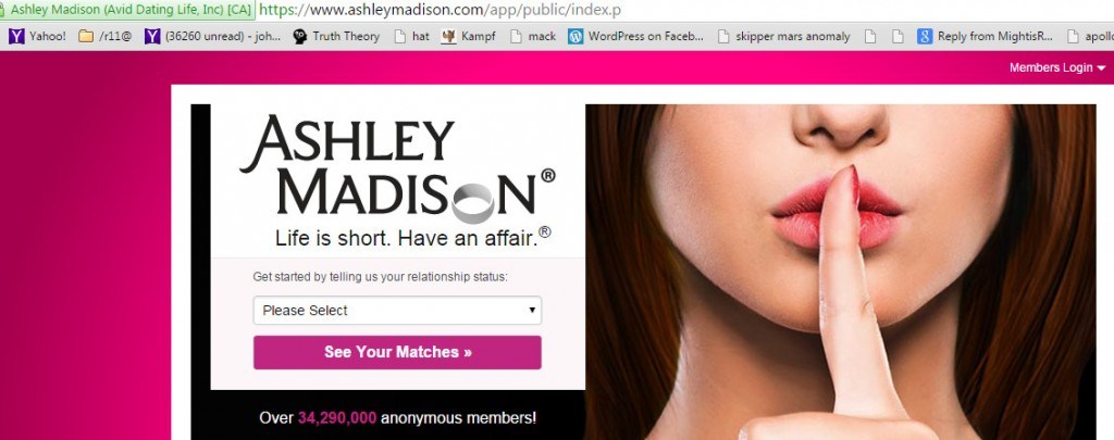 ashley-madison-adultery-dating-service-1024x405