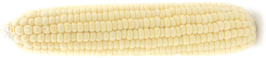 corn