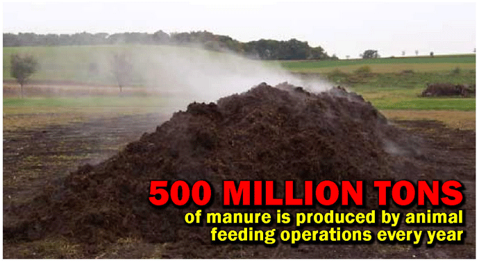 500 million tons of manure is produced by animal feeding operations every year.