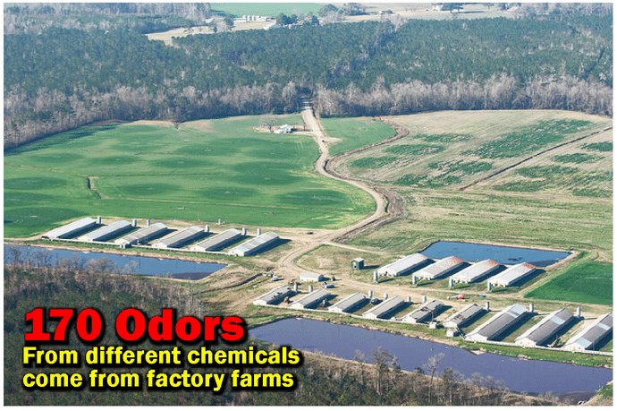 170 odors from different chemicals come from factory farms.